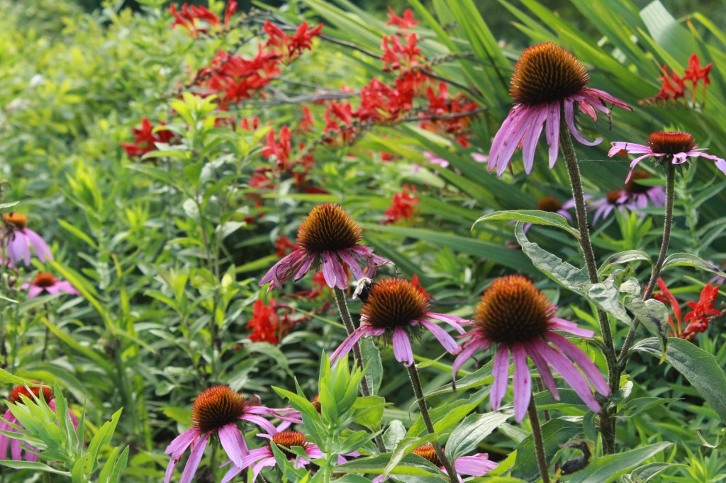 Where does Painting Inspiration Come From